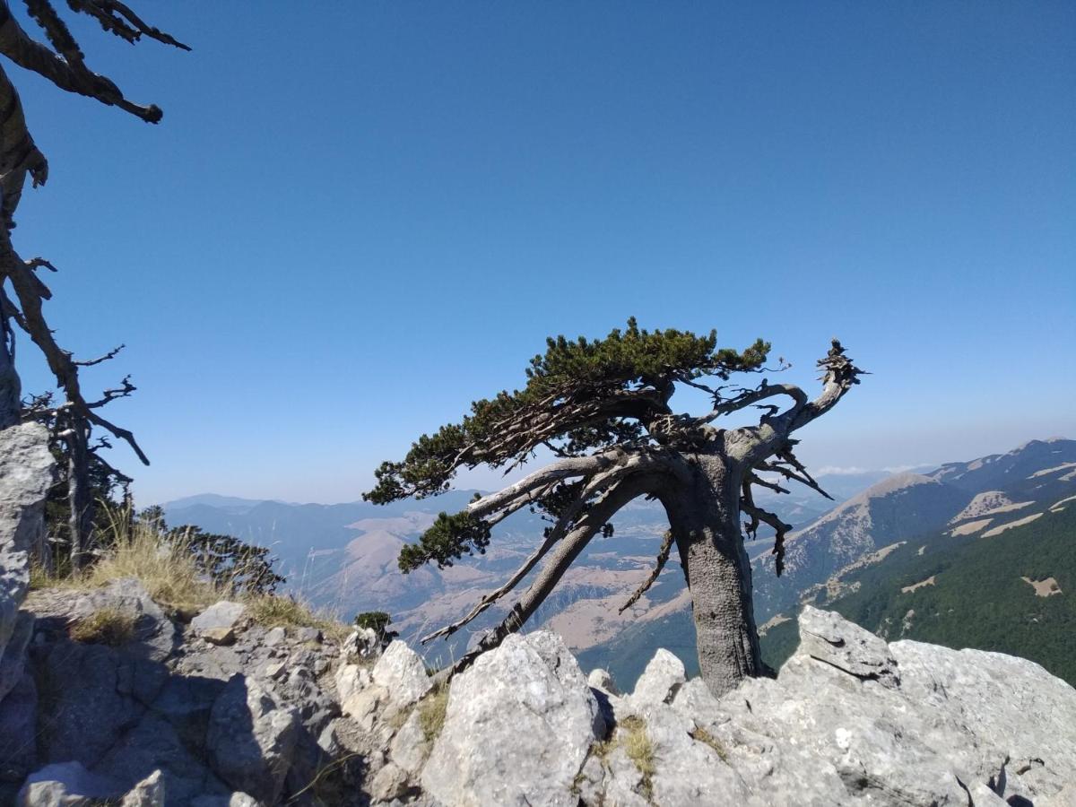 Dimora Del Corso Otel Rotonda Dış mekan fotoğraf